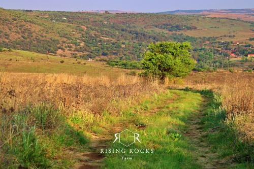 Tranquil Mountain Cottage :Hikes/Boma/Animals/Pool