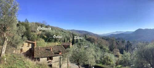 Casa rurale Colleccio - colline di Lucca