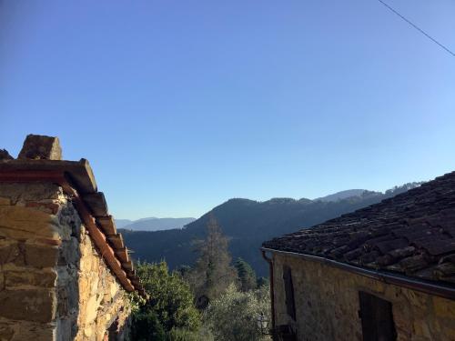 Casa rurale Colleccio - colline di Lucca
