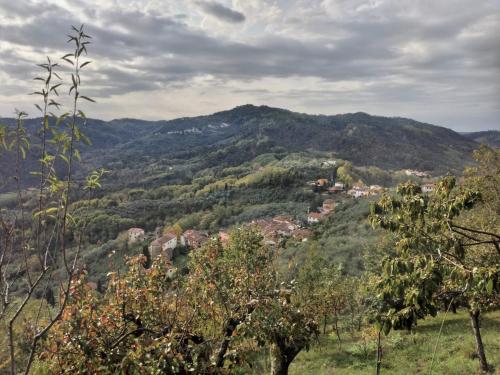 Casa rurale Colleccio - colline di Lucca