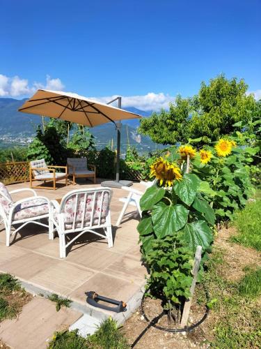 Balkons/terase, I girasoli in Romeno