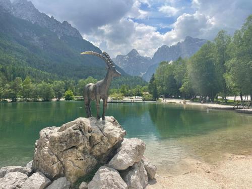 Nearby attraction, Haus Bergblick in St. Andra