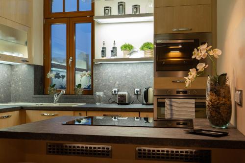 مطبخ, Executive 2-Bdrm central suite in usti nad Labem