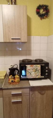 Apartment Andjela in Rujno