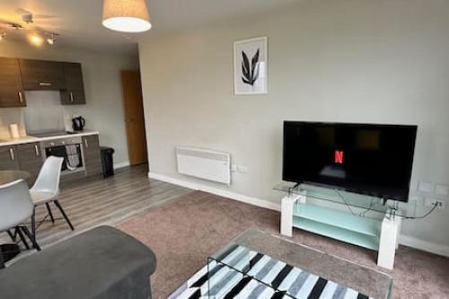 Large 1 Bed MCR Apartment and Huge Terrace Sleeps 4, Manchester (photo 4)