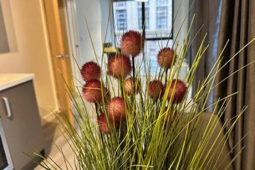 Airy 1 Bed Central Manchester Apartment Sleeps 2, Manchester (fotografie 9)