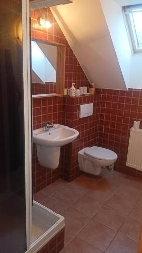 Tourist apartment Vysocina BIKE plus FUN in Nove Mesto Na Morave