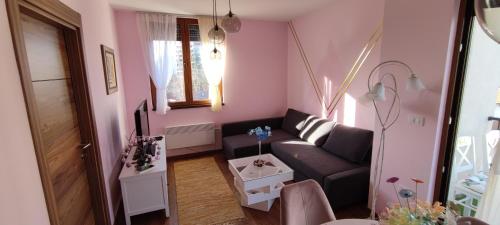 Binis 34 - Location saisonnière - Zlatibor