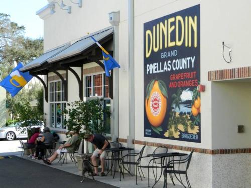 In The Heart Of Downtown Dunedin One Bedroom Apt No Kids, No Pets - 達尼丁