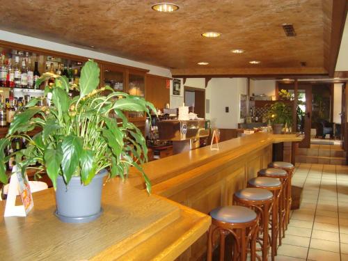 Hotel-Restaurant Handelshof - image 9