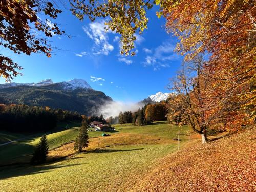 Auf'm Feggenlehen in Ramsau bei Berchtesgaden, Deutschland