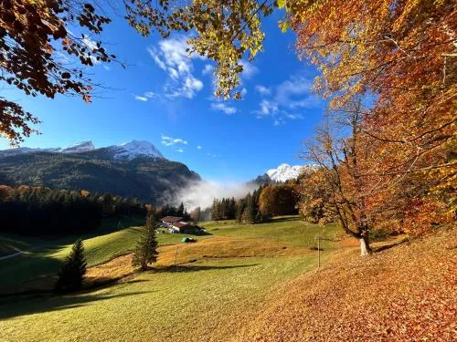 Auf'm Feggenlehen in Ramsau bei Berchtesgaden, Deutschland