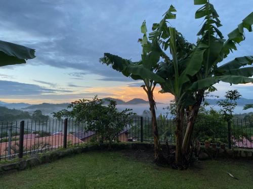 Casa Amanecer Bed & Breakfast - image 3
