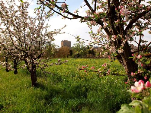 Agriturismo La Roverella