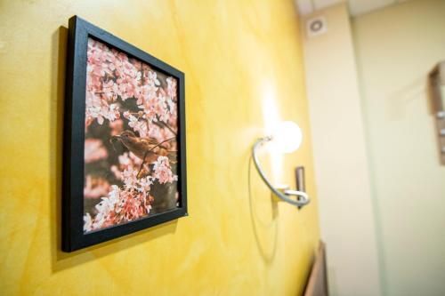 Cattleya Apartment in Sofia Center, Sofia (photo 11)