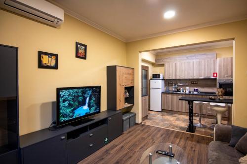 Cattleya Apartment in Sofia Center, Sofia (photo 3)