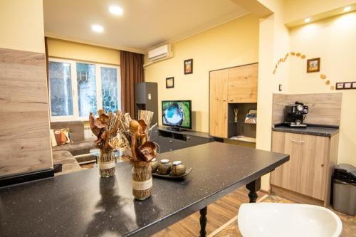 Cattleya Apartment in Sofia Center, Sofia (photo 4)