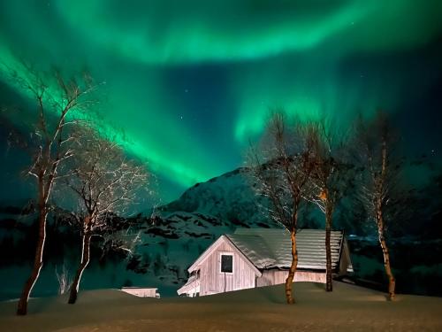 Lofoten and Vesterålen Kveldro - Myrland