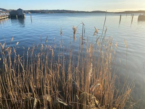 Mycket trevlig stuga på Brännö med havsutsikt