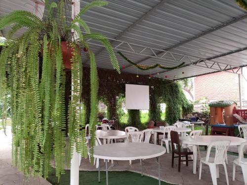 HUERTA BLANCA CONACHE in Moche