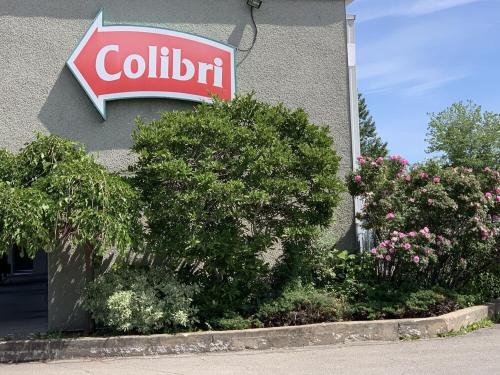 Foto - Motel Colibri