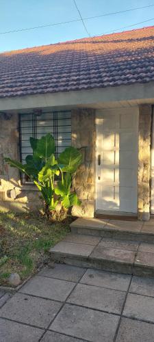 CaLi DUPLEX 3