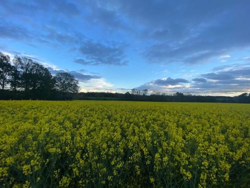 Maison familiale de campagne - 10 personnes