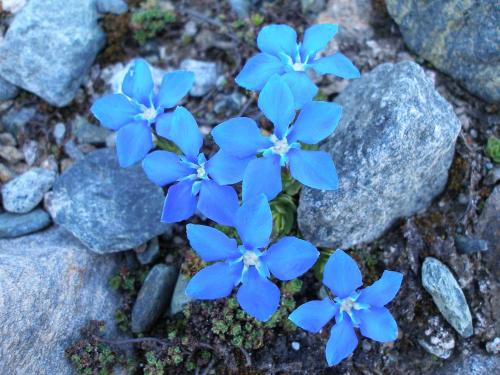 Hotel Dama Bianca - image 11