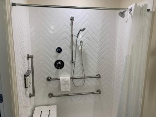 King Room with Mobility Accessible Roll-In Shower