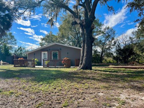 A szálláshely kívülről, The Lake Alfred Citruswood Cabin in Auburndale (Florida)