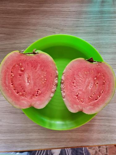 حديقة, Bois Gournable in Corail Petite Butte