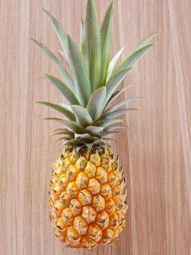 حديقة, Bois Gournable in Corail Petite Butte