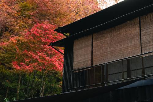 mysa hakone, Hakone (foto 10)