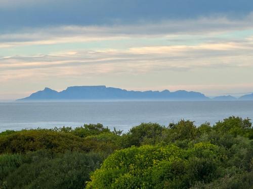 Atlantic Corner, Yzerfontein (fotografie 7)