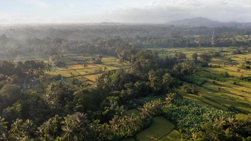 Sacred Canyon Ubud by Pramana Villas