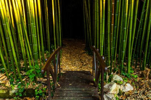 La Verrerie - image 2