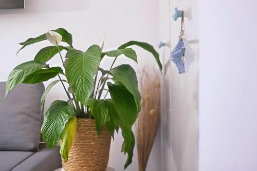 Maritime Wohnung mit Meerblick in Sierksdorf