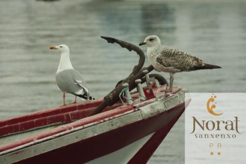 Nuevo Norat Sanxenxo