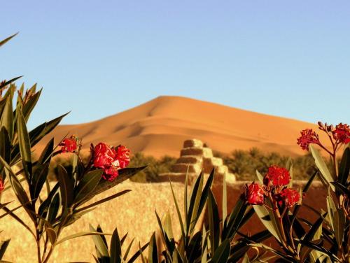 B&B Merzouga - La Vallée des Dunes - Auberge, bivouacs et excursions - Bed and Breakfast Merzouga