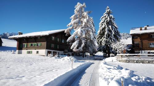  Wispile Holiday apartment, Pension in Gstaad