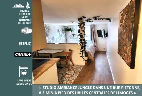 Studio Jungle-Calme rue piétonne - Location saisonnière - Limoges