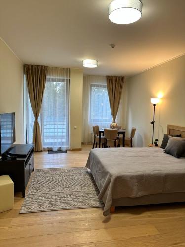 Lodge Euphoria Studio, Borovec