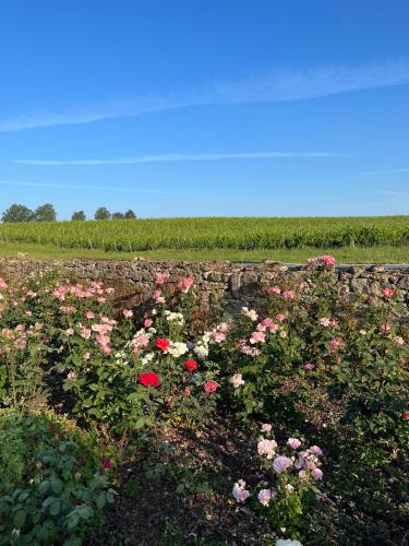 Chateau Carbonneau