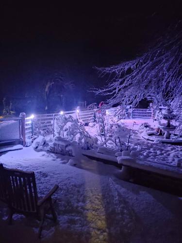 A környék, Watt in Karolinenkoog