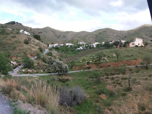 Casita Tomate, Granada (foto 4)