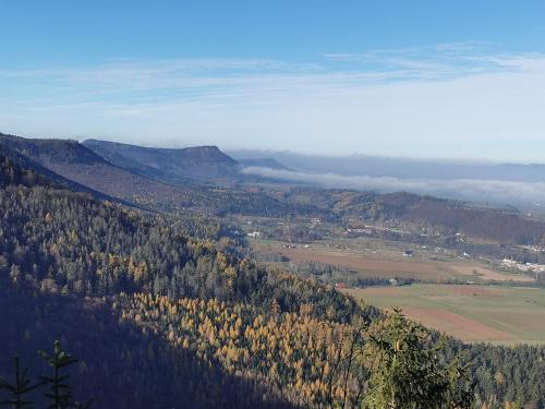 Domki z Widokiem Domki z Widokiem
