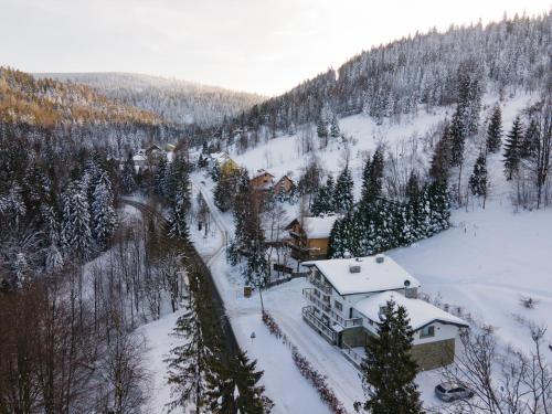 Willa Marko z sauną, grillowiskiem i rowerownią - Dream Apart - Accommodation - Szczyrk