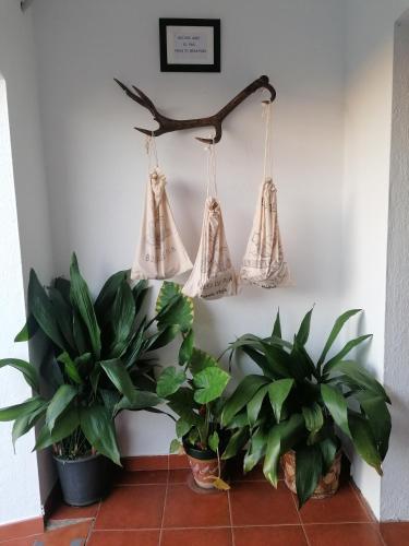 Buitenkant, La casa barata, casa rural in Herrera De Alcantara