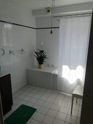 Bordeaux Downtown, pool access, Bordeaux (Foto 6)