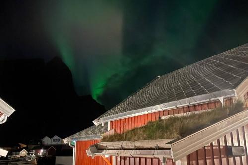 Reine Rorbu, Amaliebua Reine Rorbu, Amaliebua